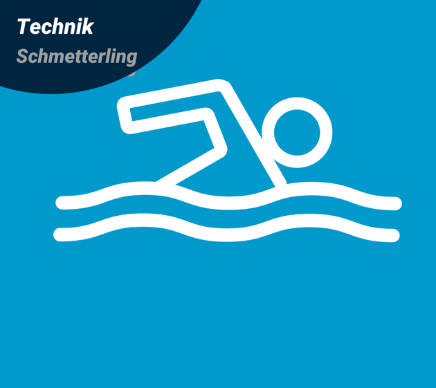 Bild für Kategorie Technikschwimmen Erwachsene Schmetterling