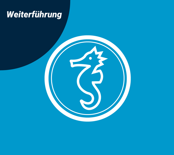 Bild von Seepferdchen-Weiterführungskurs 10 UE