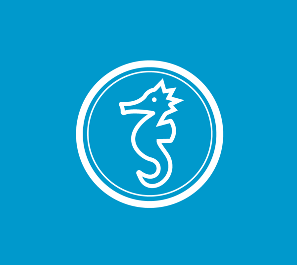 Bild von Seepferdchen-Grundkurs Sommerferien